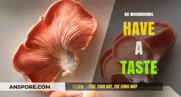 Mushroom Taste: Earthy, Nutty, or Bland?