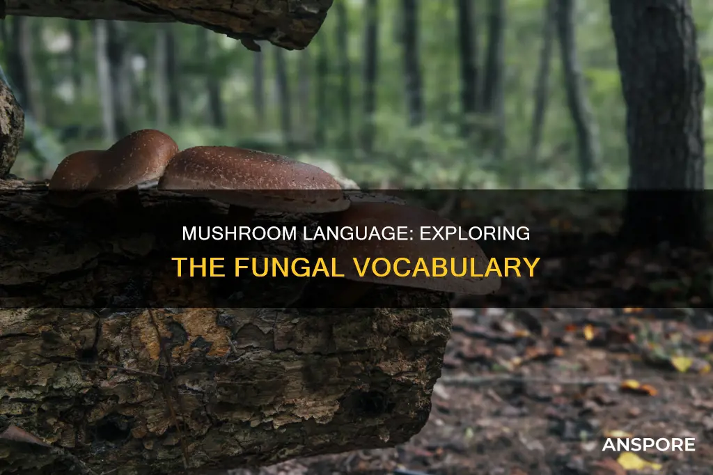 do mushrooms have a vocabulary