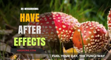 Mushroom Consumption: Understanding the After Effects