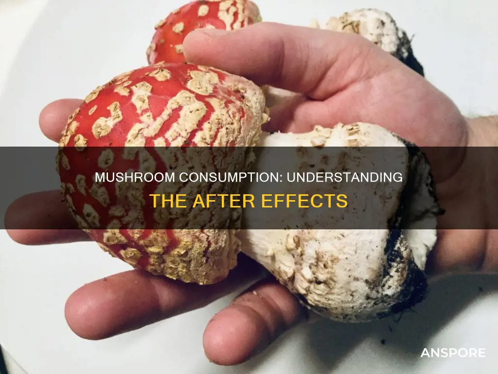 do mushrooms have after effects