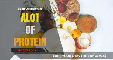 Mushrooms and Protein: Unveiling Their Surprising Nutritional Benefits