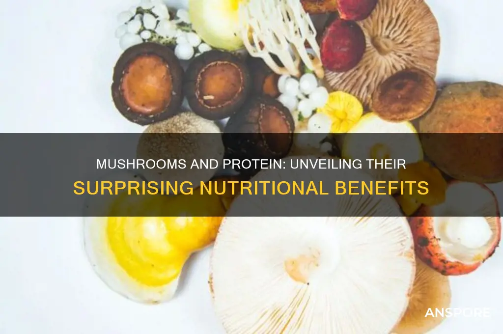 do mushrooms have alot of protein