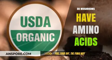 Mushrooms: A Rich Source of Amino Acids?
