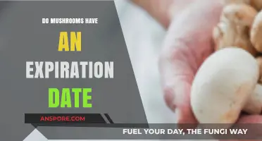 Do Mushrooms Expire? Understanding Shelf Life and Freshness Tips