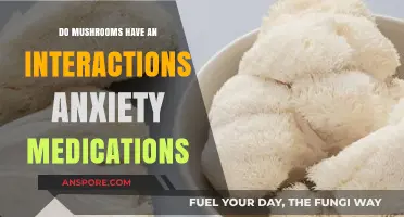 Mushrooms and Anxiety Meds: Potential Interactions You Need to Know