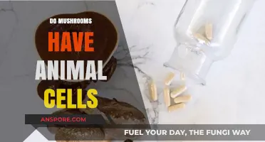 Mushrooms: Animal Cells or Not?