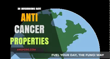 Mushrooms' Anti-Cancer Potential: Unlocking Nature's Healing Secrets