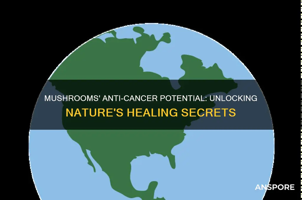 do mushrooms have anti cancer properties