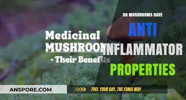 Mushrooms' Anti-Inflammatory Potential: Unlocking Nature's Healing Power