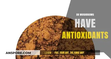 Mushrooms: A Rich Source of Antioxidants