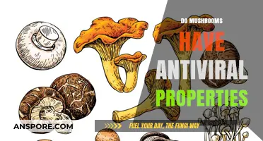 Mushrooms: Nature's Antiviral Superfood?