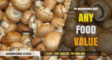 Mushrooms: Nutritional Powerhouses or Just a Tasty Addition?