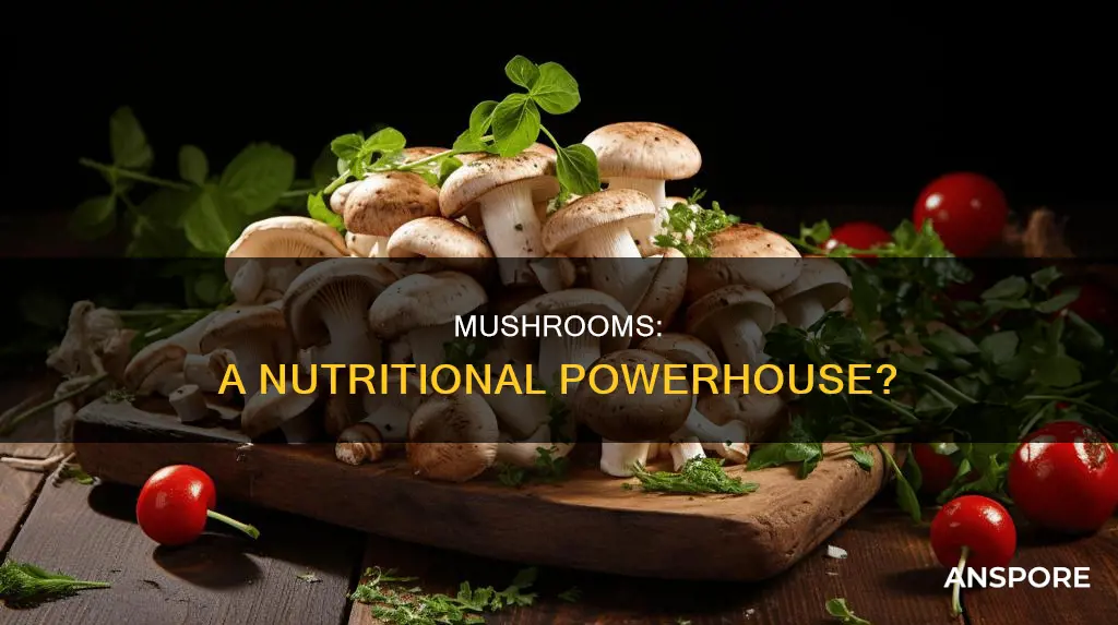 do mushrooms have any nutrients