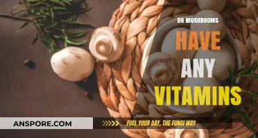 Mushrooms: Nature's Nutritional Powerhouse?