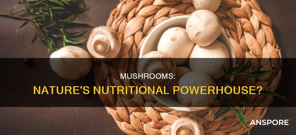 do mushrooms have any vitamins