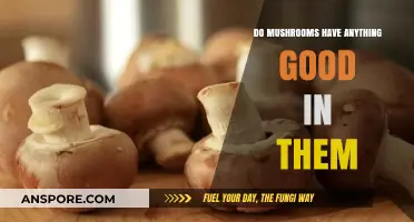 Mushrooms Unveiled: Surprising Health Benefits and Nutritional Powerhouses