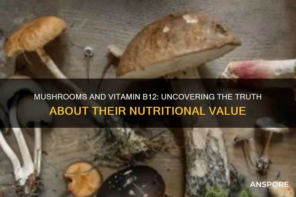 do mushrooms have b12 in them