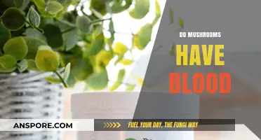 Mushrooms and Blood: What's the Connection?