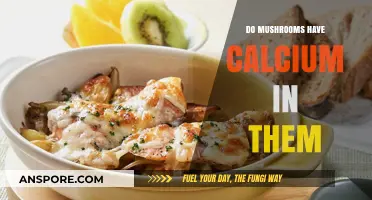 Mushrooms and Calcium: Unveiling Their Nutritional Benefits and Bone Health Impact