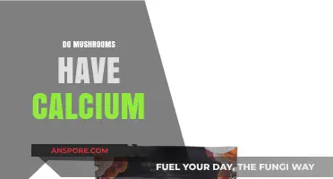 Mushrooms: A Surprising Source of Calcium?