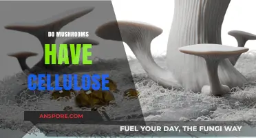 Mushrooms and Cellulose: What's the Connection?