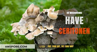 Mushrooms and Ceritonen: What's the Connection?