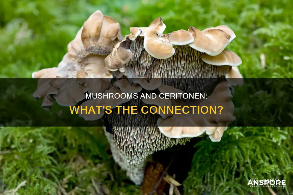 do mushrooms have ceritonen