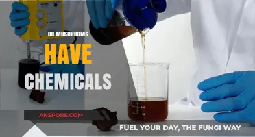 Mushrooms: A Natural Chemical Cocktail