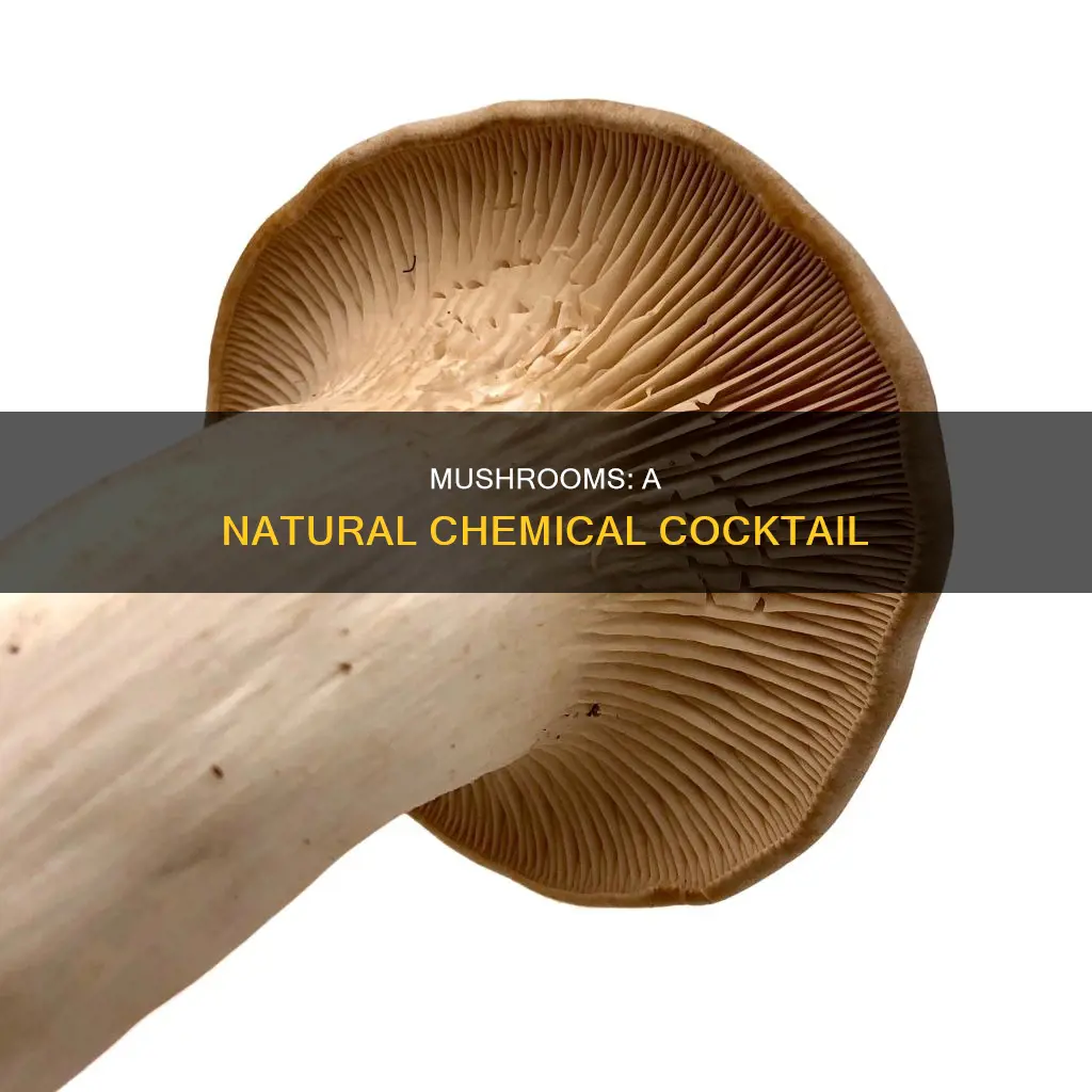 do mushrooms have chemicals