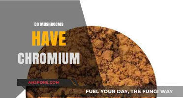 Mushrooms: A Rich Source of Chromium?