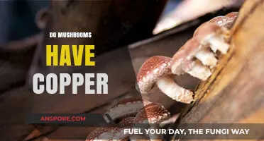 Mushrooms: A Rich Source of Copper?