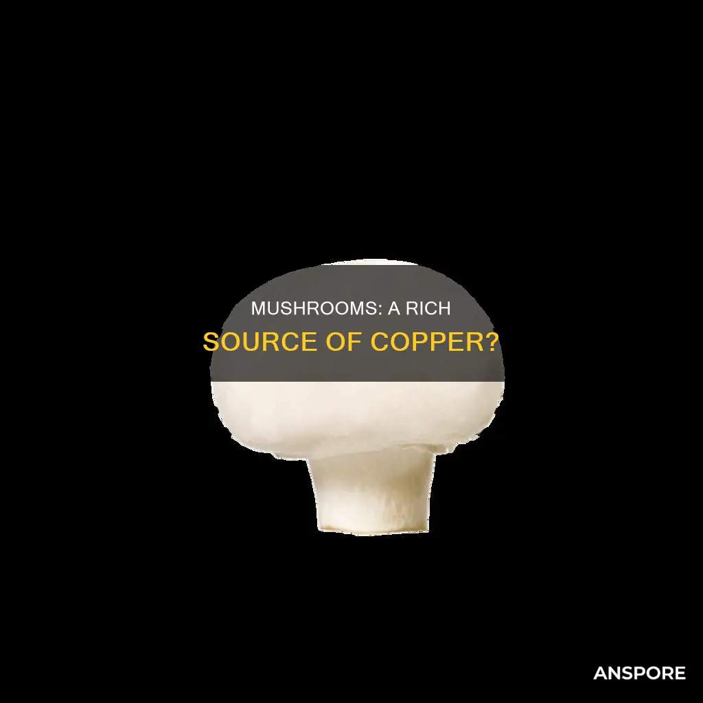 do mushrooms have copper