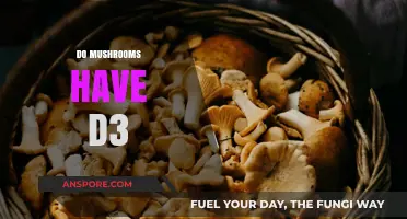 Mushrooms and Vitamin D3: What's the Link?