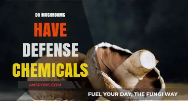 Mushrooms' Natural Defense: Chemicals and Mechanisms