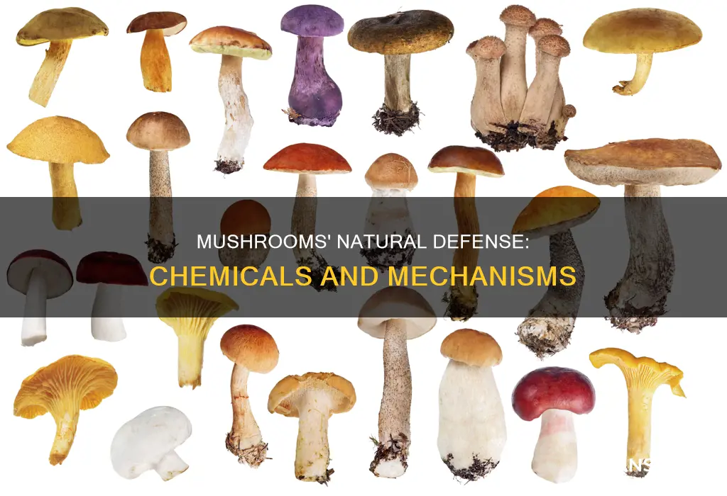 do mushrooms have defense chemicals