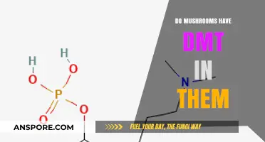 Exploring the Myth: Do Mushrooms Naturally Contain DMT?