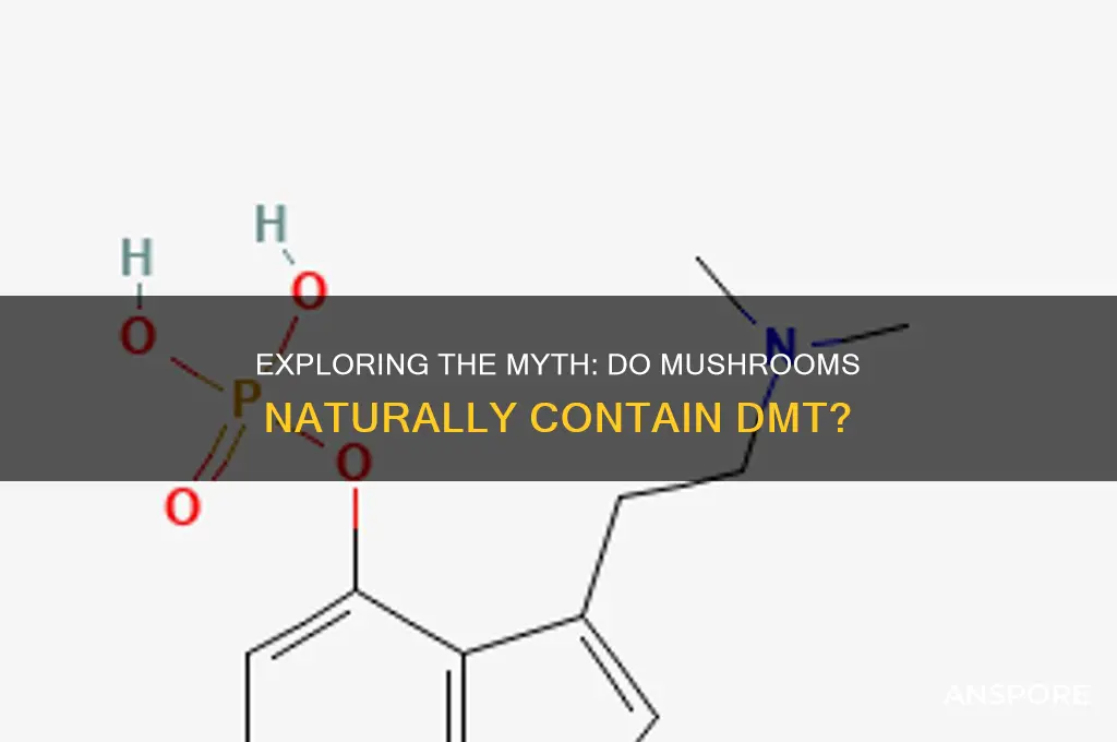 do mushrooms have dmt in them