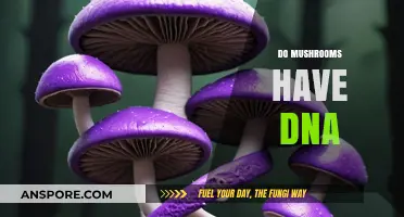 Mushrooms' DNA: A Complex Genetic Code