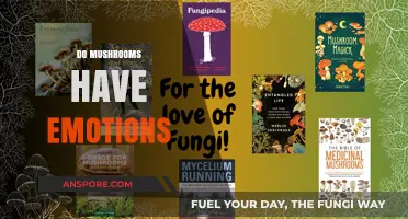 The Emotional Lives of Mushrooms: Do They Feel?