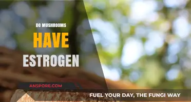 Mushrooms and Estrogen: What's the Connection?