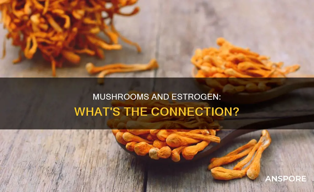 do mushrooms have estrogen