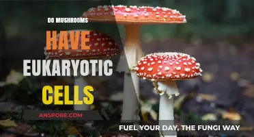 Mushrooms: Complex Eukaryotic Cells in Nature