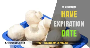 Mushrooms: How Long Do They Last?