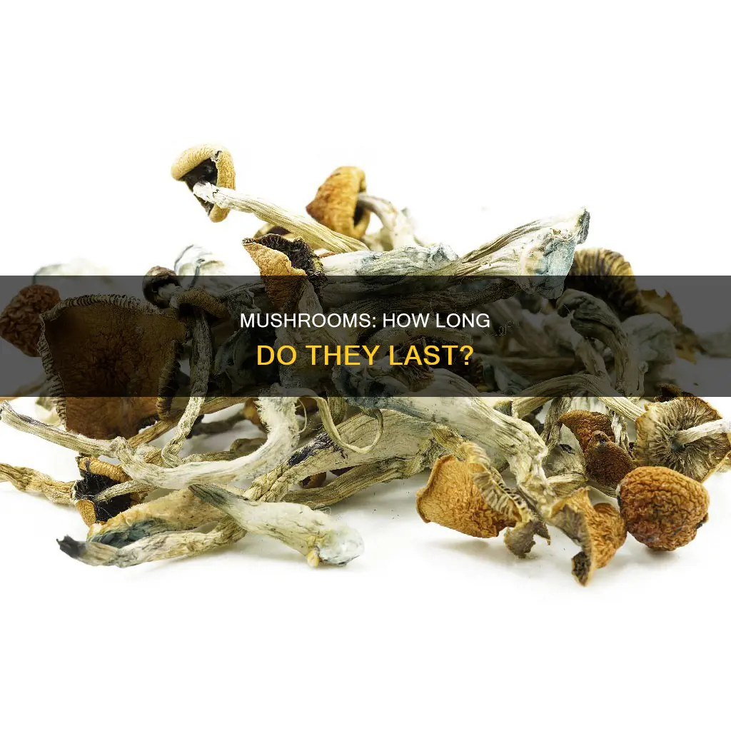 do mushrooms have expiration date