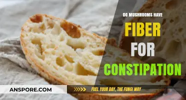 Mushrooms and Constipation: Unlocking Fiber Benefits for Digestive Health