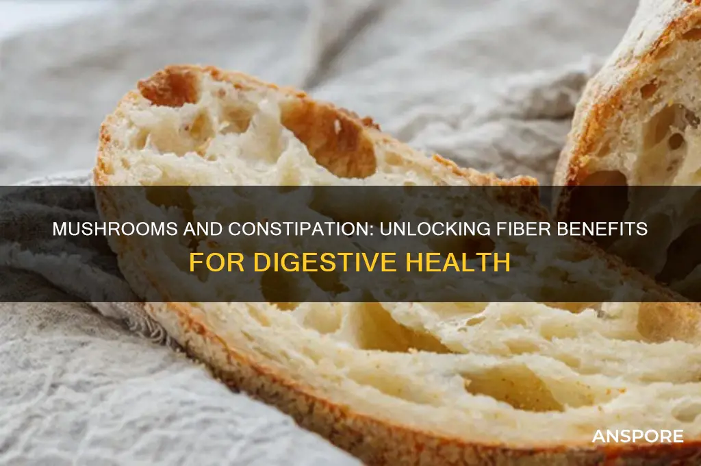 do mushrooms have fiber for constipation
