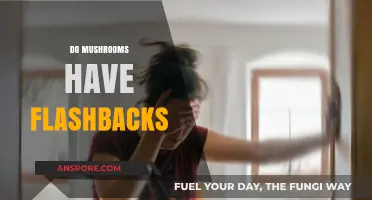 Mushrooms' Flashbacks: A Trippy Truth or Urban Myth?