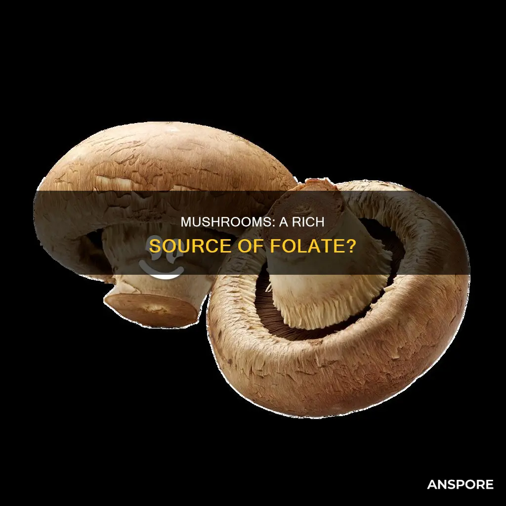 do mushrooms have folate