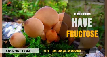 Mushrooms and Fructose: What's the Connection?