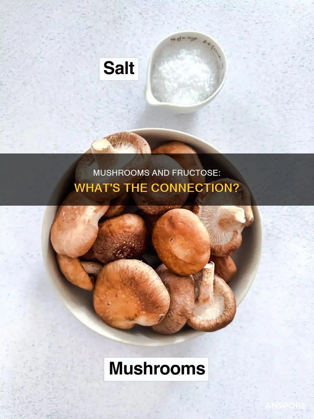 do mushrooms have fructose